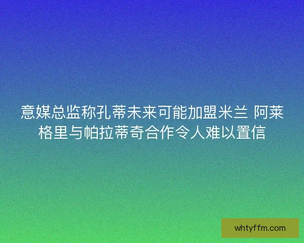 意媒总监称孔蒂未来可能加盟米兰 阿莱格里与帕拉蒂奇合作令人难以置信