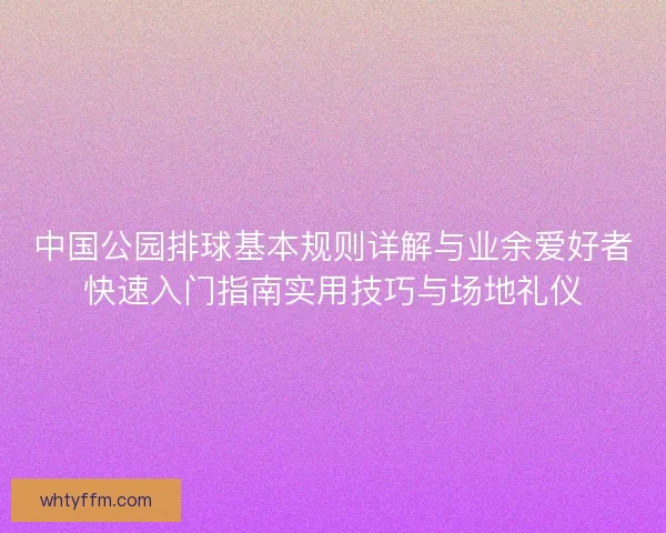 中国公园排球基本规则详解与业余爱好者快速入门指南实用技巧与场地礼仪