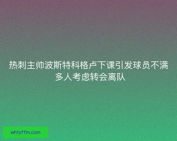 热刺主帅波斯特科格卢下课引发球员不满 多人考虑转会离队